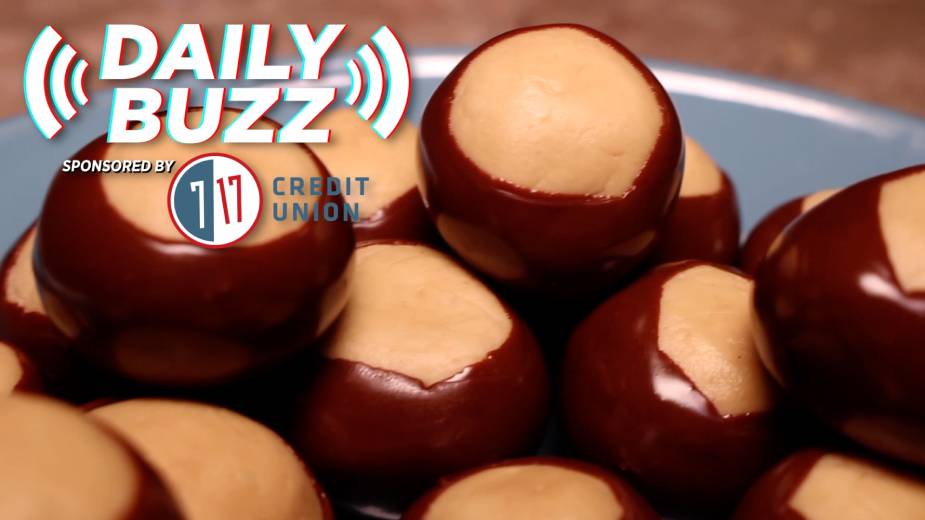 Daily Buzz 2-11-21 | PPP Solutions, United Way Campaign, New Food Segments