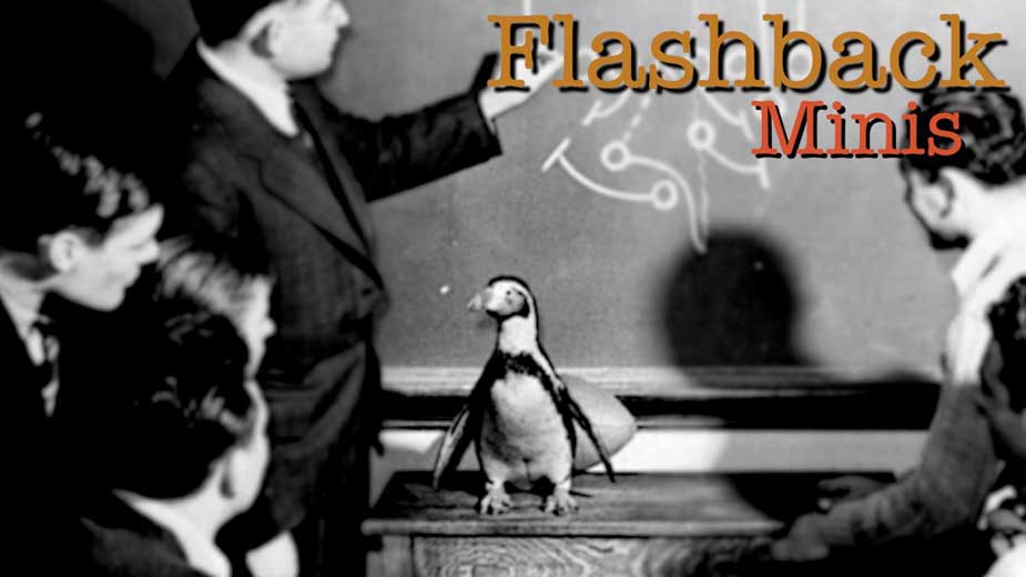 Flashback Minis: The History of YSU's Penguin Mascot