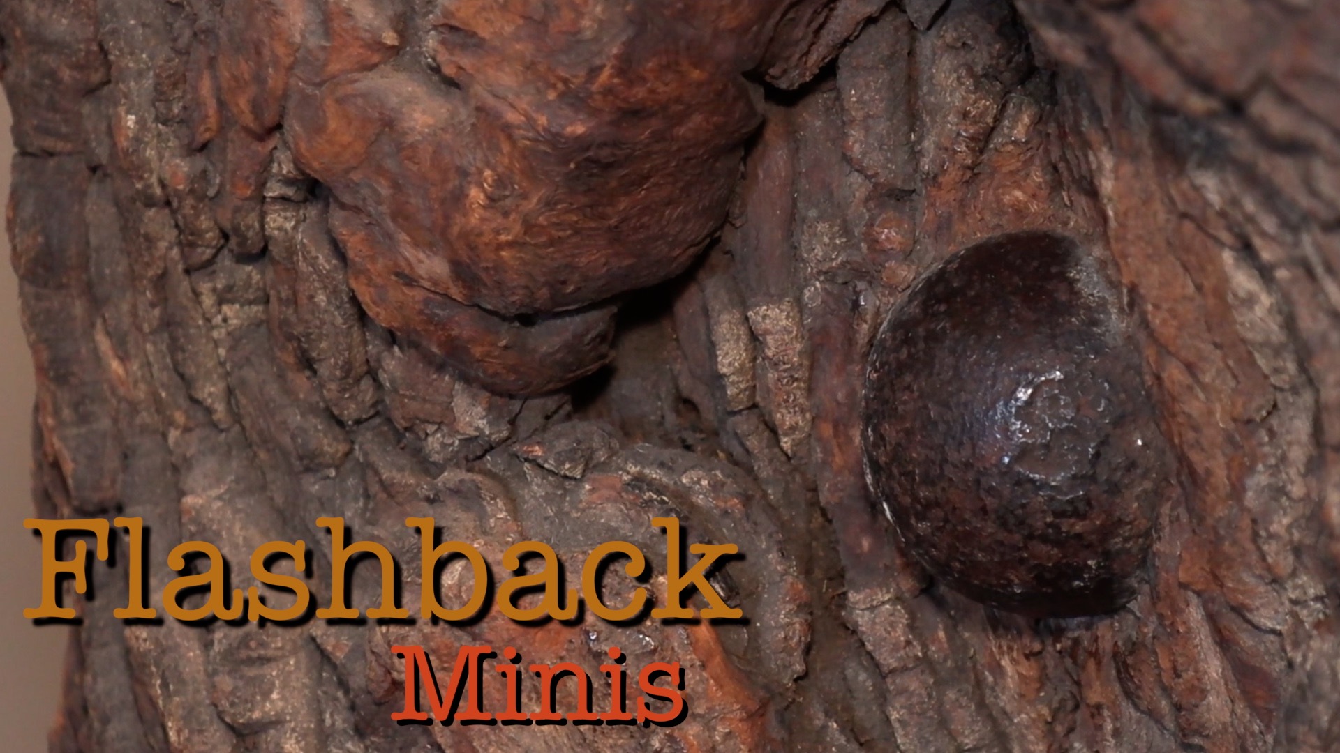 Flashback Minis: Battle of Chickamauga Tree