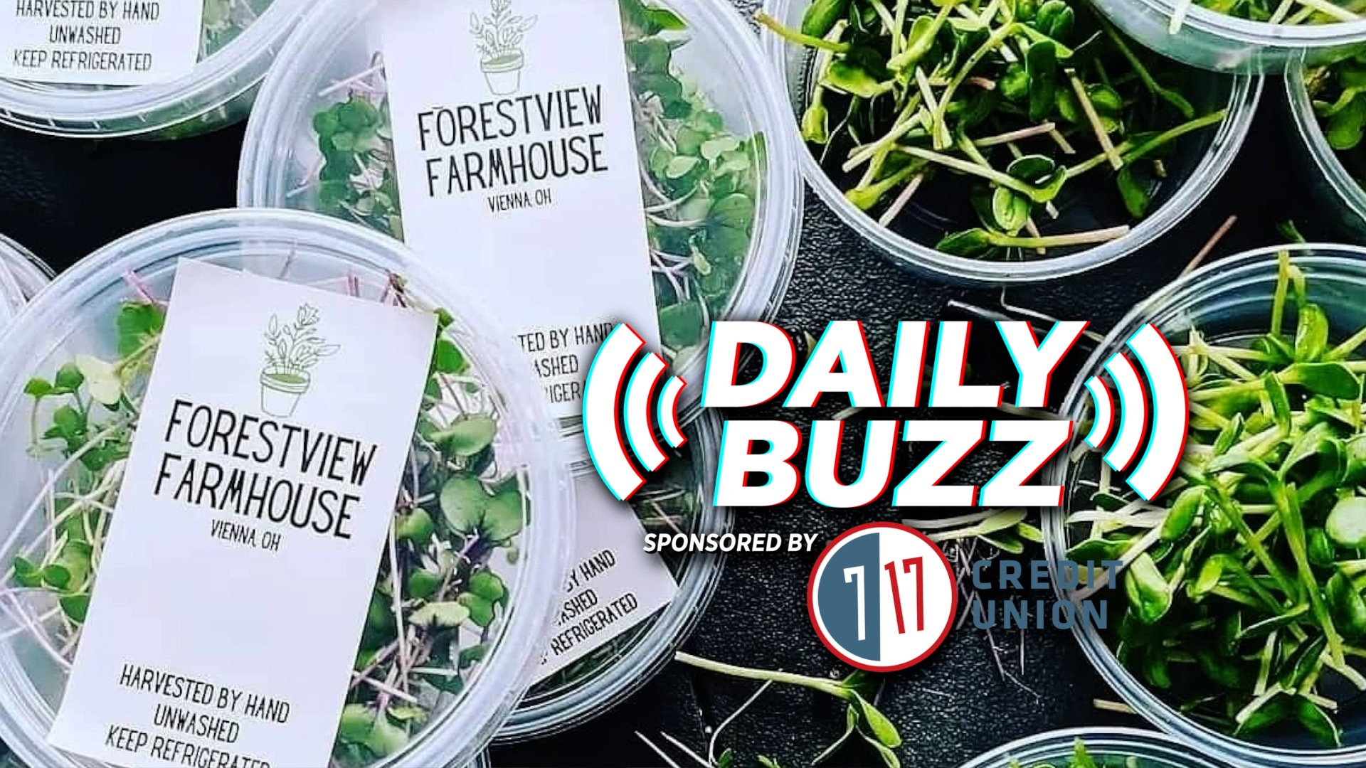 Forestview Farmhouse Grows From Microgreens