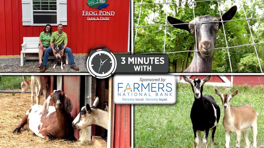 What It Takes to Run a 'Grade A' Goat Dairy