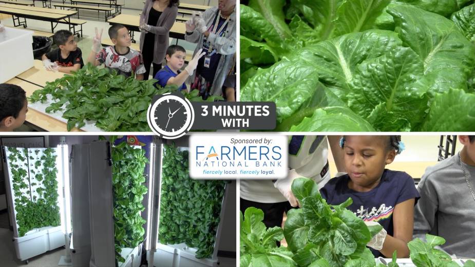 Farm-to-School Grant Helps Students Grow with New Skills