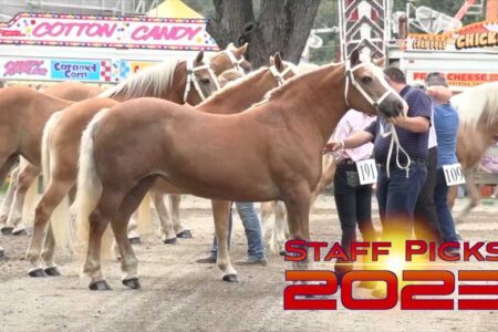 Staff Picks 2023: Showing Animals is a Family Tradition at the Fair