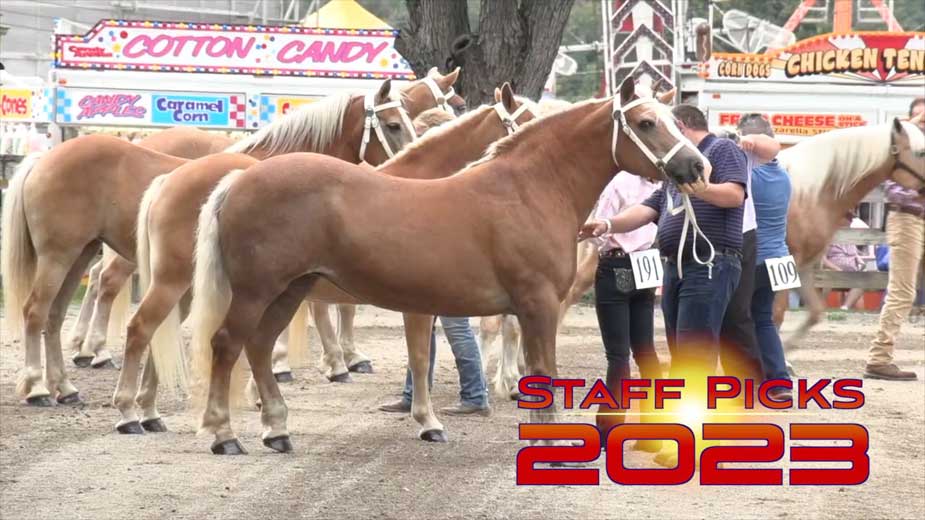 Staff Picks 2023: Showing Animals is a Family Tradition at the Fair