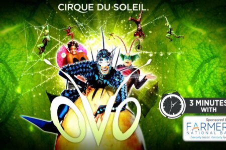 The Buzz About Cirque du Soleil's 'OVO'