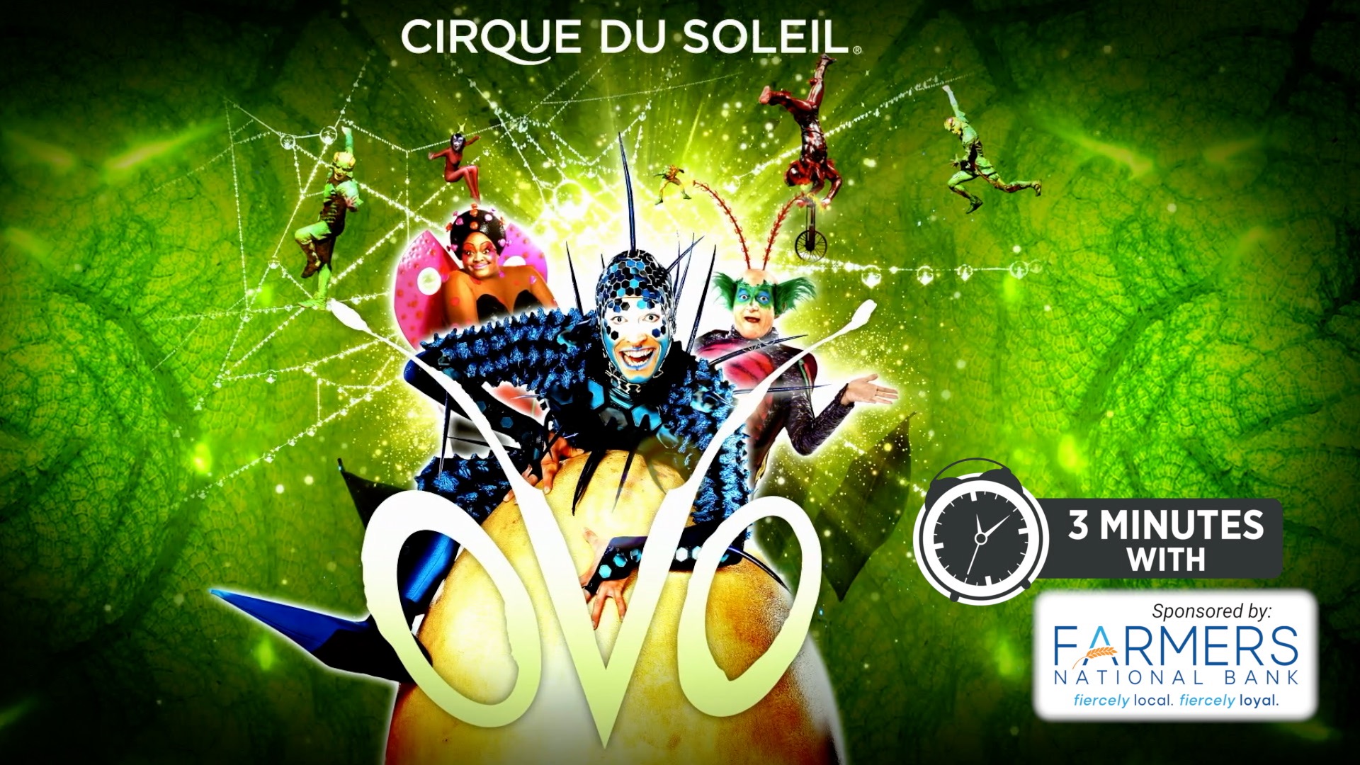 The Buzz About Cirque du Soleil's 'OVO'